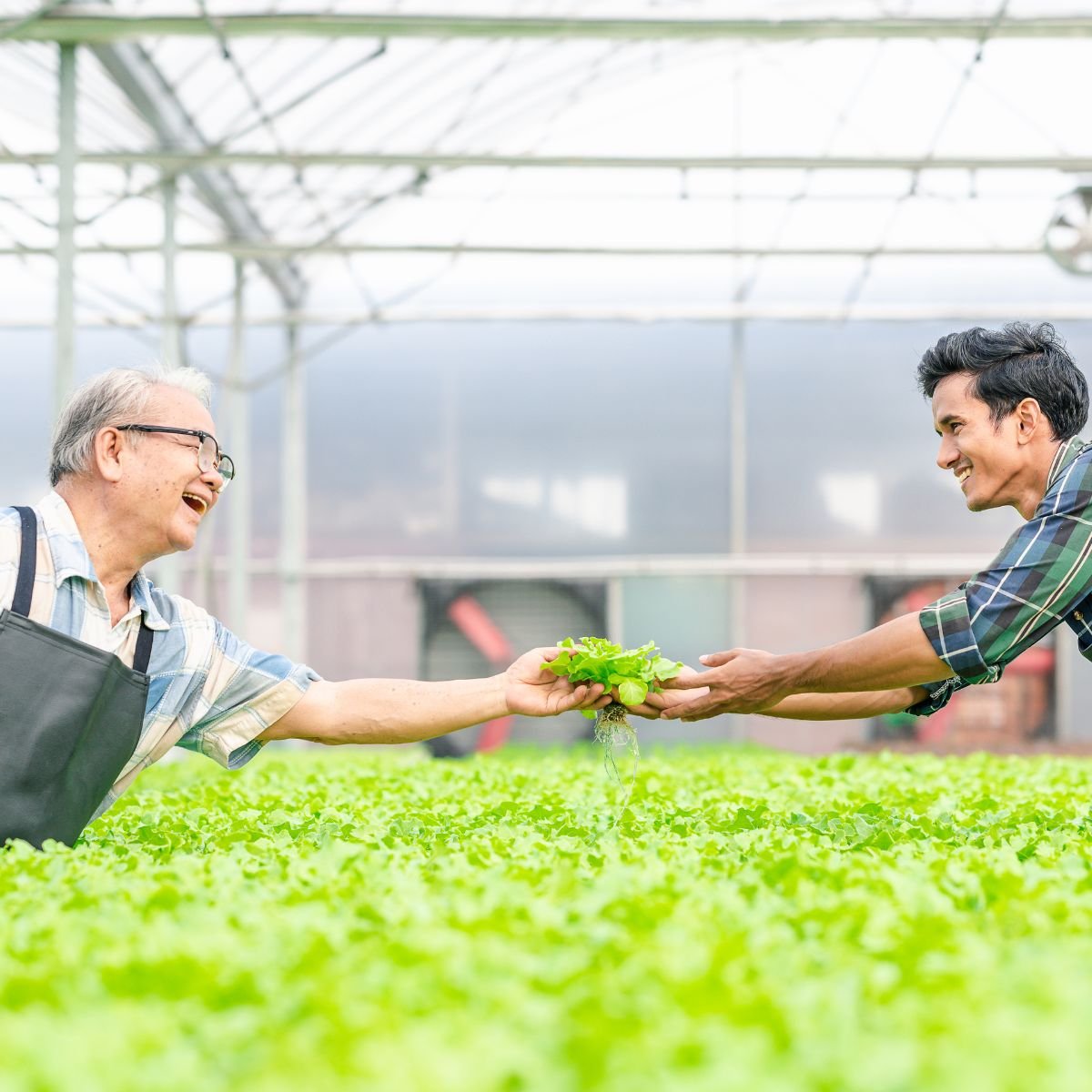 Business Owners & Entrepreneurs