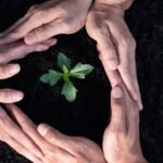 ESG vs CSR vs Sustainability: What’s the Difference?