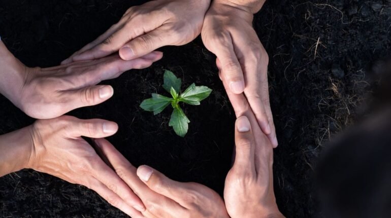ESG vs CSR vs Sustainability: What’s the Difference?