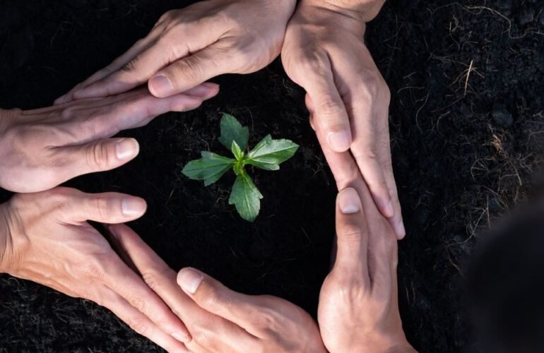 ESG vs CSR vs Sustainability: What’s the Difference?