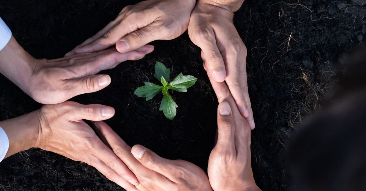 ESG vs CSR vs Sustainability: What’s the Difference?