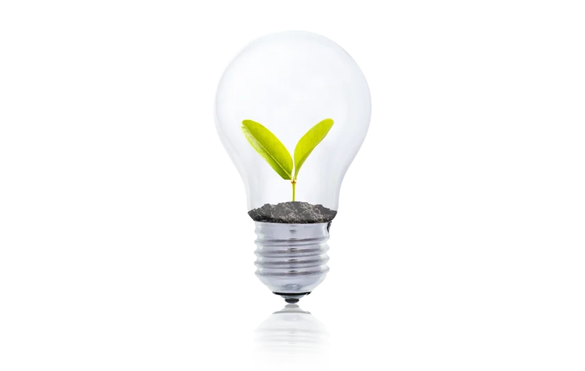 tree bulb ESG AsiaESG tree bulb ESG AsiaESG